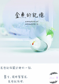 金鱼的记忆小说